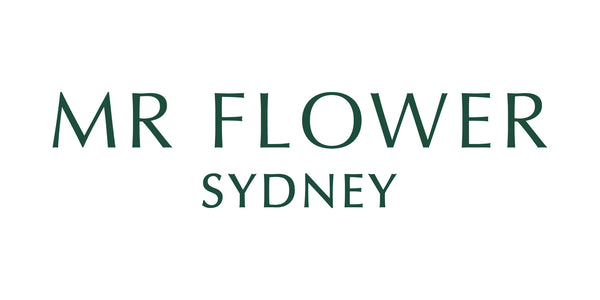 Mr. Flower Sydney