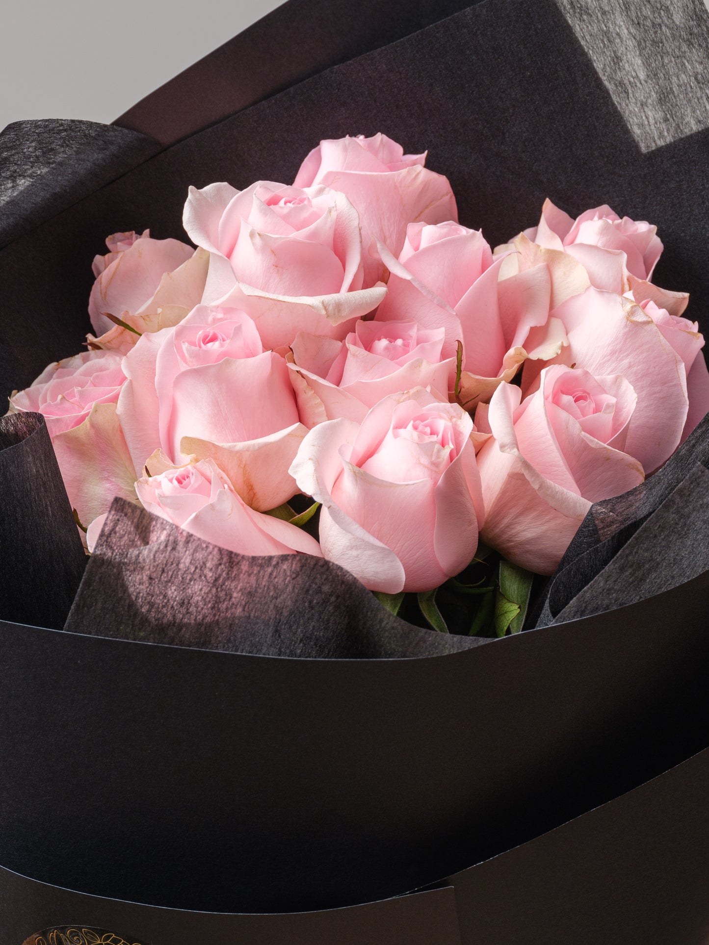 Colombian Roses