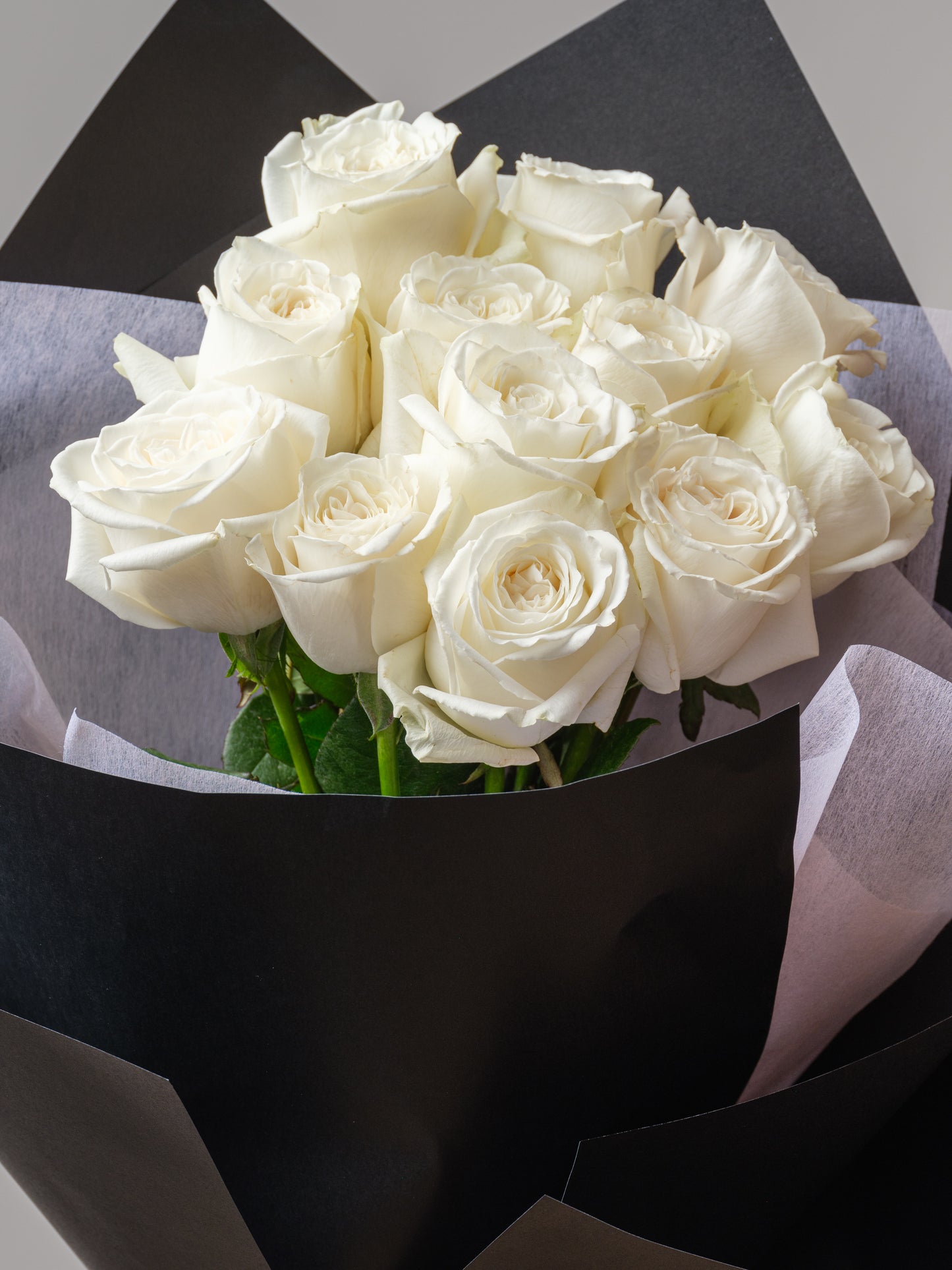 Colombian Roses