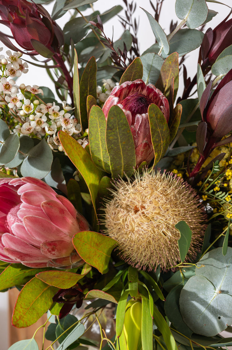 Citizenship Celebrations