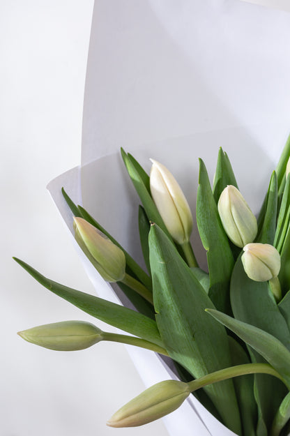 Tulips
